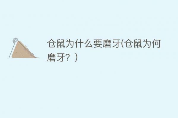 仓鼠为什么要磨牙(仓鼠为何磨牙？)
