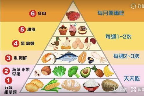 小猫成长食单，营养食谱推荐！