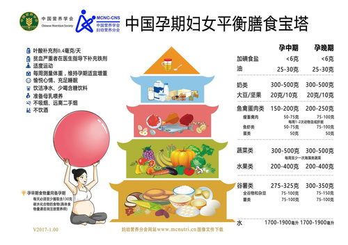 幼猫营养食谱,科学喂养指南