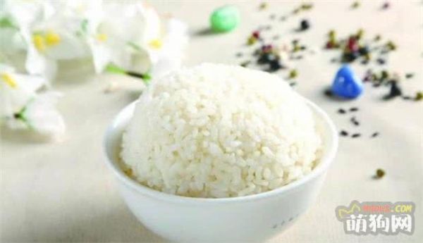 这几种人类食物，狗狗也可以吃！
