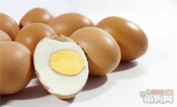 这几种人类食物，狗狗也可以吃！