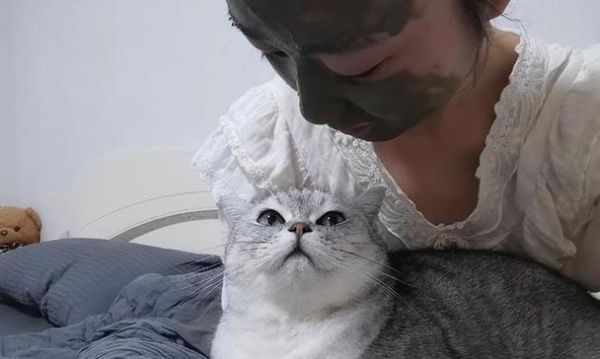如何与猫咪友好沟通？猫咪行为背后的秘密是什么？