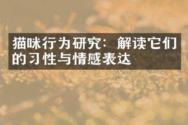 猫咪行为研究：解读它们的习性与情感表达
