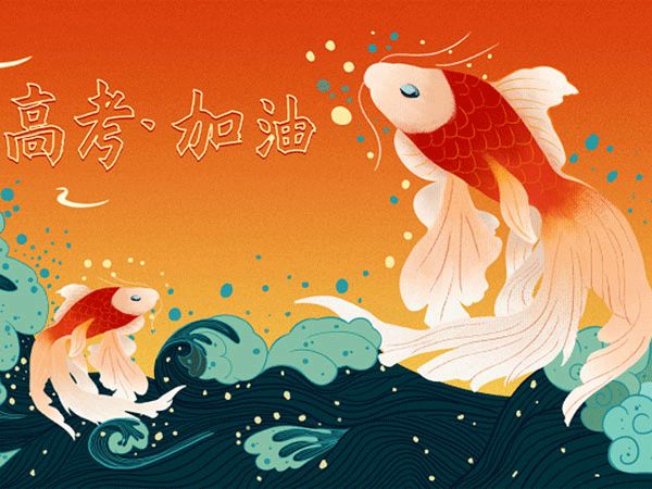 狗狗心理培训课程有哪些