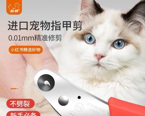 宠物狗剪指甲出血怎么办？（详解狗狗指甲剪裁技巧，以及处理剪指甲出血的方法）