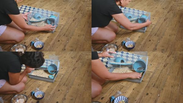 在家中照顾宠物仓鼠的人，为小型家庭动物设置食物和床垫的环境。