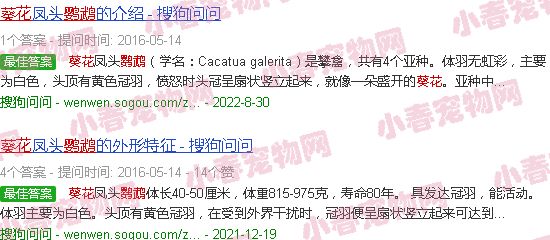 葵花鹦鹉品种及图片