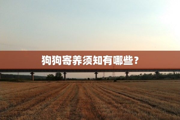 狗狗寄养须知有哪些？