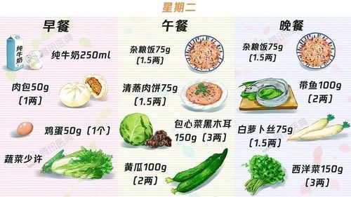 宠物健康食谱,告别疾病困扰!