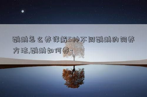 鹦鹉怎么养详解5种不同鹦鹉的饲养方法,鹦鹉如何养-