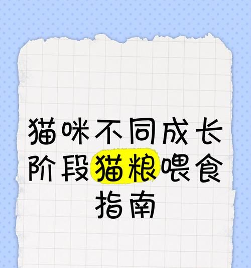 没有猫粮猫应该怎么喂食？猫咪的替代食物有哪些？