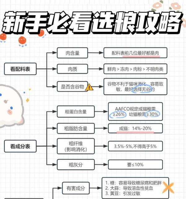 没有猫粮猫应该怎么喂食？猫咪的替代食物有哪些？