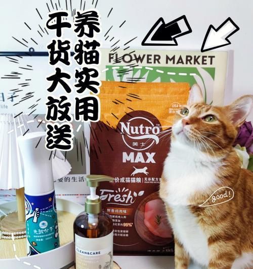 猫咪消化不良发烧，这些药可救命！（宠物保健，猫咪药物使用指南；消化不良、发热的猫咪用药解析）