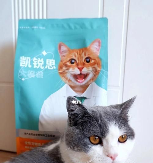 猫咪消化不良发烧，这些药可救命！（宠物保健，猫咪药物使用指南；消化不良、发热的猫咪用药解析）