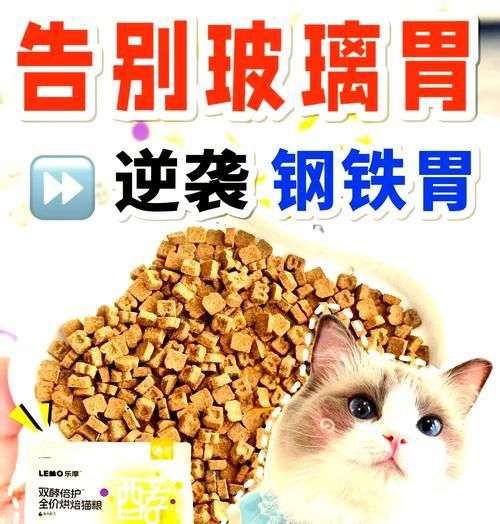 猫消化不良吃什么猫粮？哪种猫粮更适合消化不良的猫？