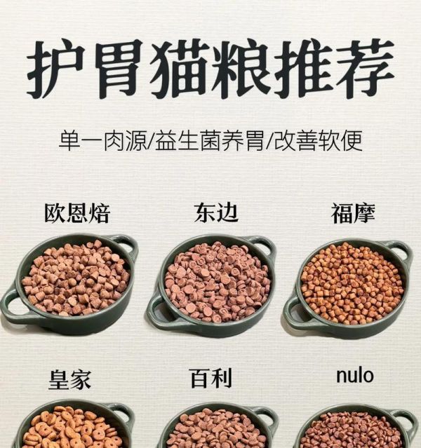 猫消化不良吃什么猫粮？哪种猫粮更适合消化不良的猫？