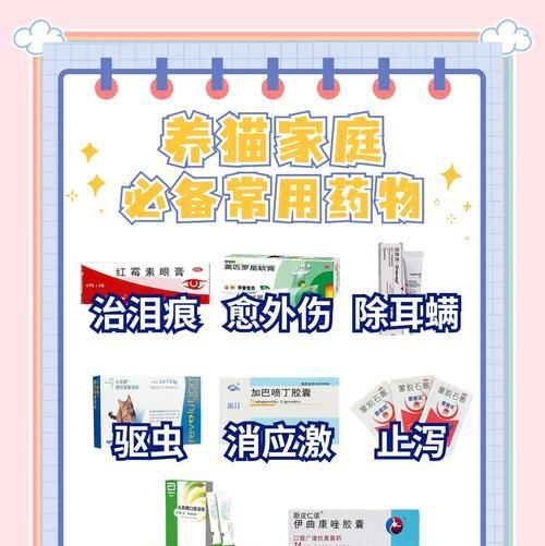 猫不吃猫粮闹肚子吃什么药？猫咪消化不良时应如何处理？