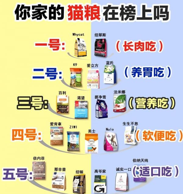 猫咪消化不良时应选择哪种猫粮？
