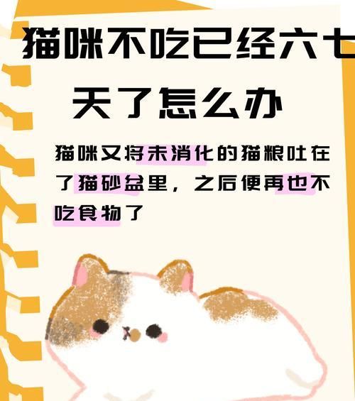 猫粮导致消化不良怎么办？