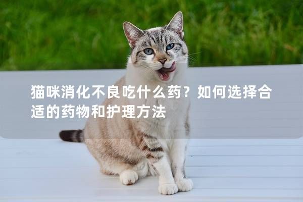 猫咪消化不良吃什么药？如何选择合适的药物和护理方法