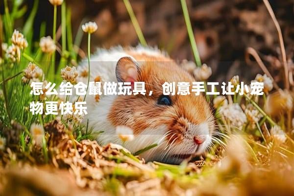 怎么给仓鼠做玩具，创意手工让小宠物更快乐