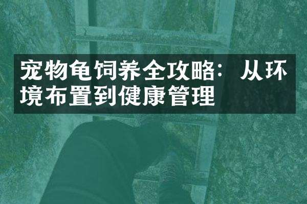 宠物龟饲养全攻略：从环境布置到健康管理