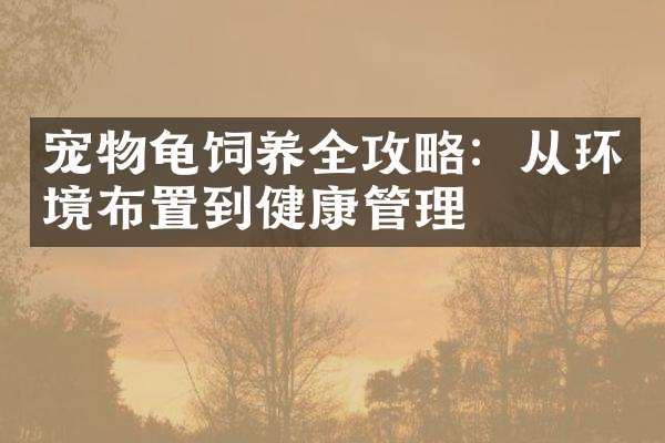 宠物龟饲养全攻略：从环境布置到健康管理