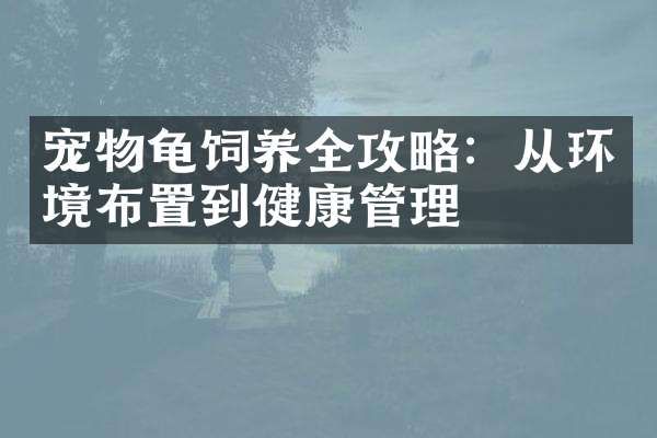 宠物龟饲养全攻略：从环境布置到健康管理