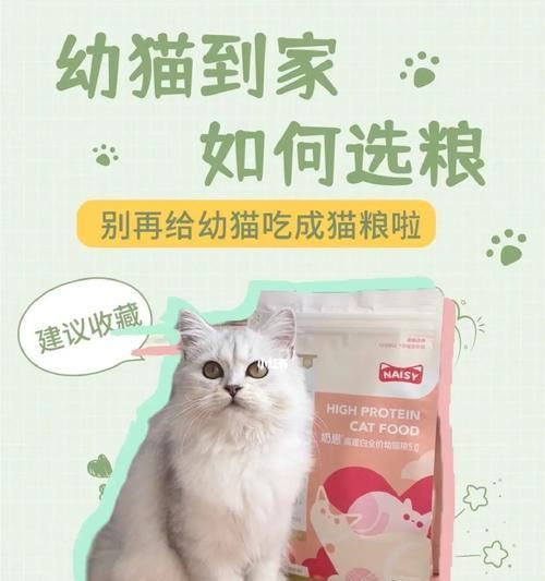 三个月猫咪的喂养规律（合理的喂食频率与食量管理是关键）