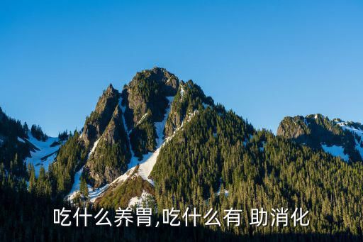 吃什么养胃,吃什么有 助消化