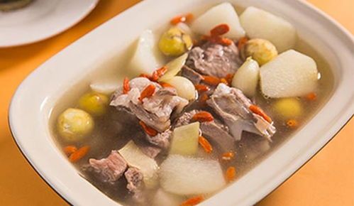 “提升宠物免疫力,营养食谱推荐!”