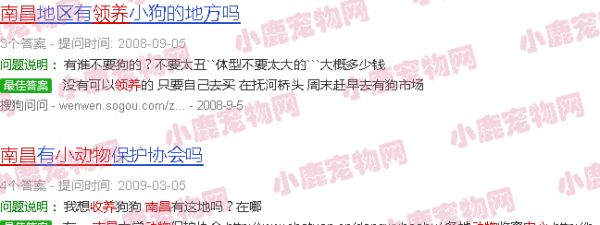 南昌小动物领养中心