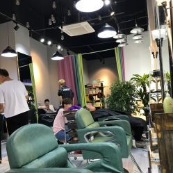 猫咪美发沙龙大盘点:宠物美发界热门店推荐