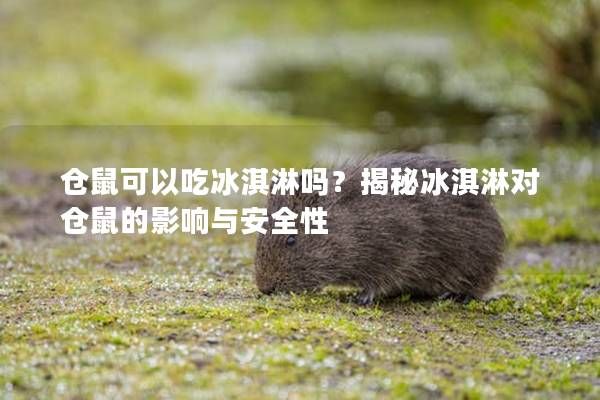 仓鼠可以吃冰淇淋吗？揭秘冰淇淋对仓鼠的影响与安全性