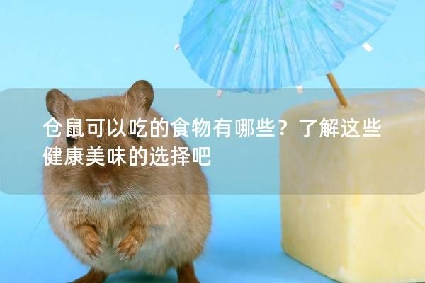 仓鼠可以吃的食物有哪些？了解这些健康美味的选择吧