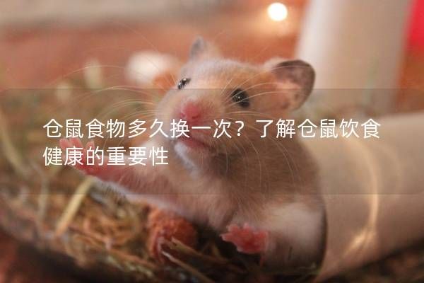 仓鼠食物多久换一次？了解仓鼠饮食健康的重要性