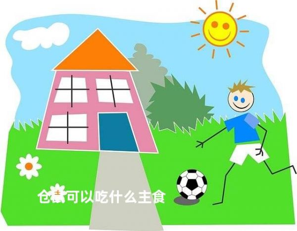 仓鼠可以吃什么主食