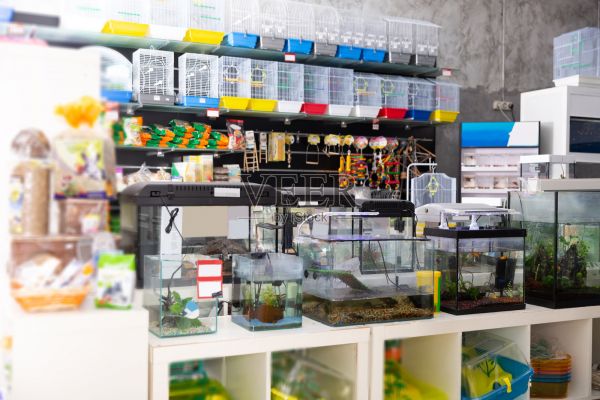 宠物店内部备有各种鸟笼、货架及宠物配件照片摄影图片