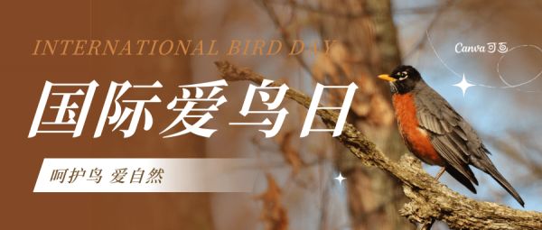 国际爱鸟日丨关爱鸟类,5个爱鸟周活动方案推荐