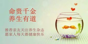 养宠护肝攻略，轻松养宠不伤肝！