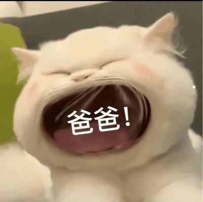 老猫15岁了只喝水不吃饭了