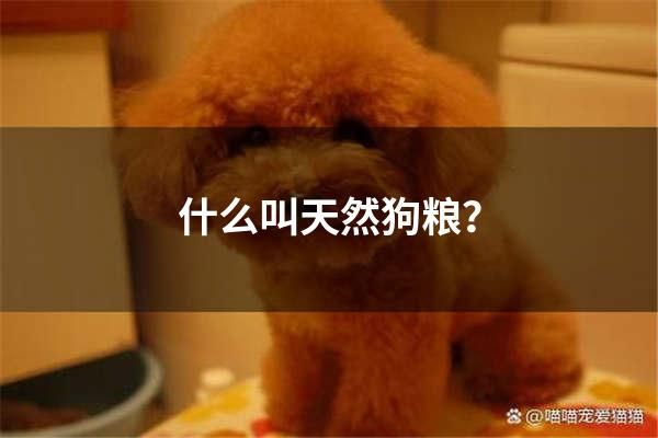 什么叫天然狗粮？