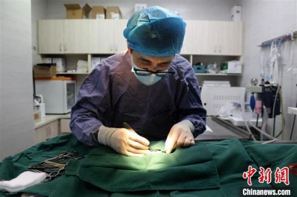 萌宠健康“守护者”：守护主人与爱宠的“别样”陪伴