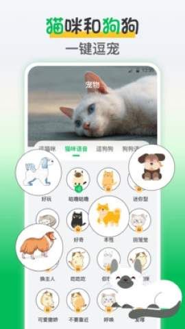 鸟语交流器安卓版
