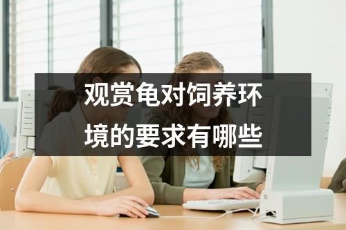 观赏龟对饲养环境的要求有哪些