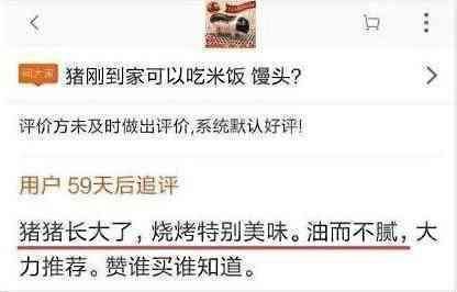 男子网购宠物猪烤了吃肉，还把烤猪照片发给卖家，卖家却如此回复