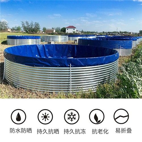 优质海水养殖鱼池产品畅销市场，带动农渔村经济发展