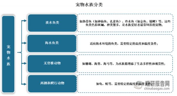 宠物水族‌是指那些生活在水中的宠物，主要包括淡水鱼类、海水鱼类、无脊椎动物（如珊瑚、甲壳类等）以及两栖和爬行类动物。这些宠物通常被饲养在水族箱或水族池中，需要特定的水质、温度和营养条件，以及适宜的栖息环境‌。