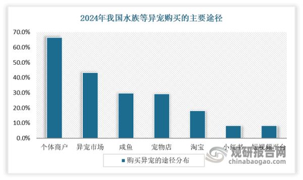 从消费途径来看，个体商户是宠主购买水族等异宠的主要途径。根据相关调研数据显示，2024年我国宠主购买异宠的主要途径是个体商户，占比达到66.5%；其次是异宠市场，占比为43.3%。而相比之下，通过淘宝、小红书和短视频平台购买异宠的比例较低，均低于20%。