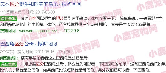 龟图片识别